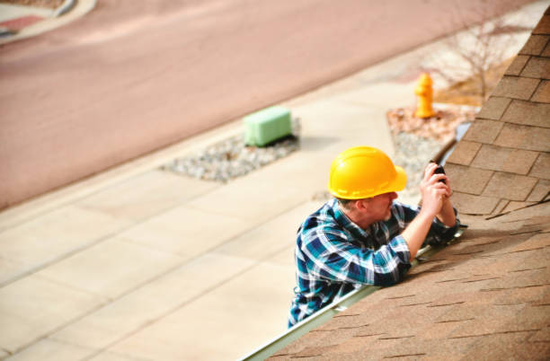Best Roof Gutter Cleaning  in Mayer, AZ