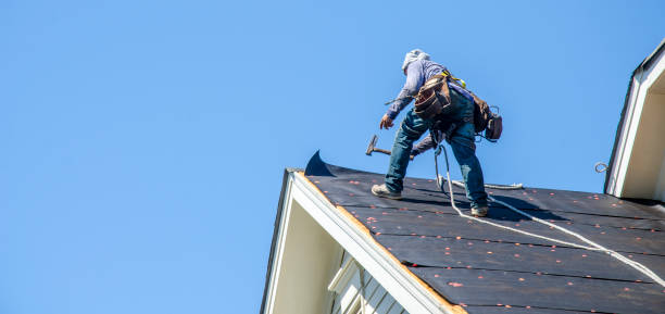 Best Gutter Installation and Roofing  in Mayer, AZ